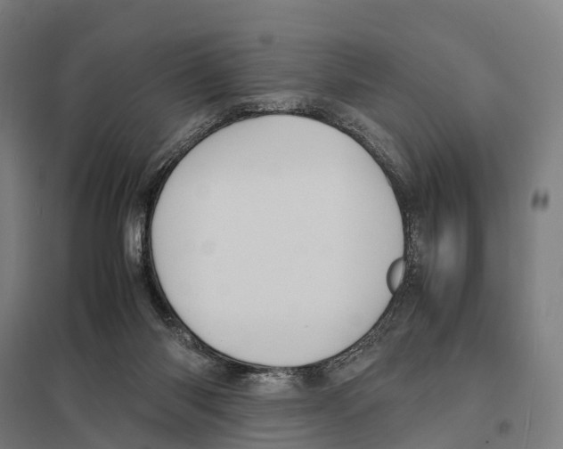 X0000097620118200803281045