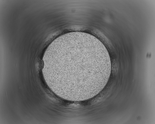 X0000097620119200803281045