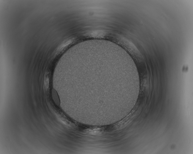 X0000097620120200803281045