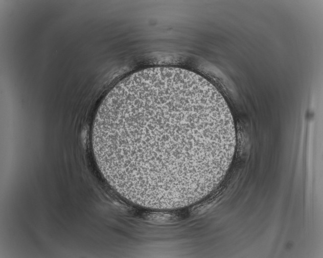 X0000097620123200803281045