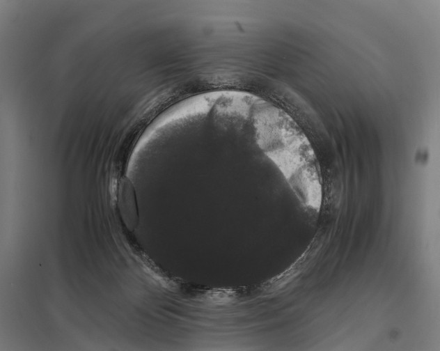 X0000097620124200803281045