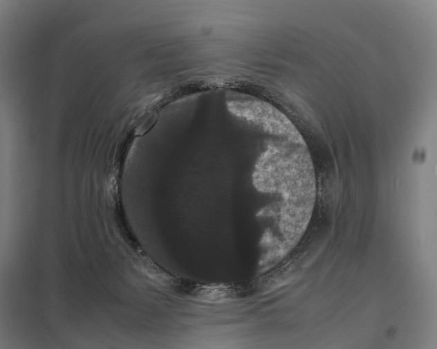 X0000097620127200803281045