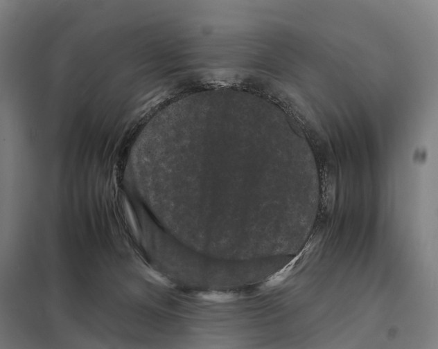 X0000097620128200803281045