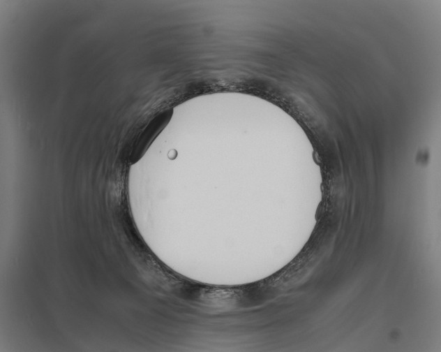 X0000097620129200803281045