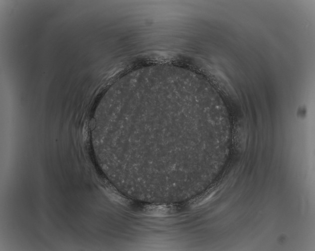 X0000097620131200803281045