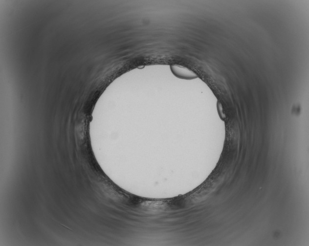 X0000097620133200803281045