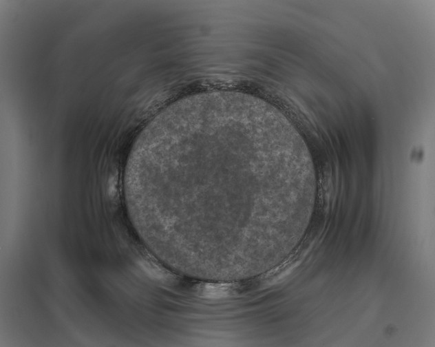 X0000097620134200803281045
