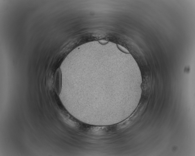 X0000097620136200803281045