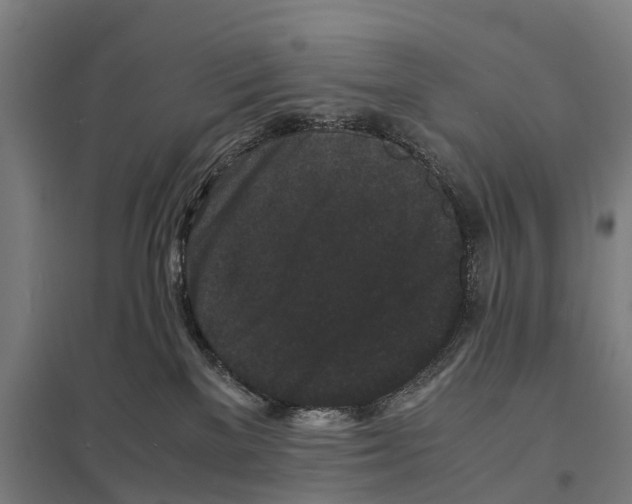 X0000097620137200803281045