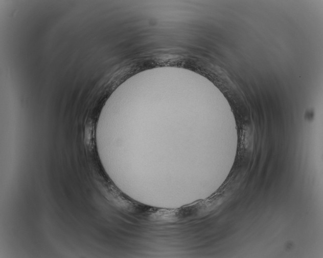 X0000097620138200803281045