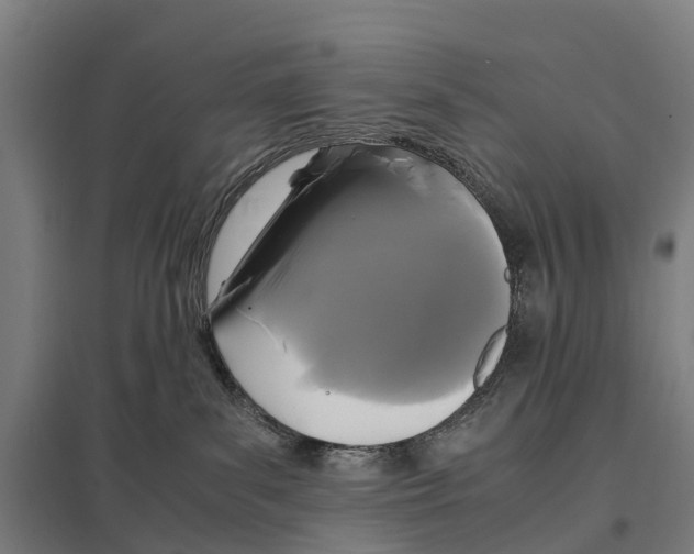 X0000097620139200803281045