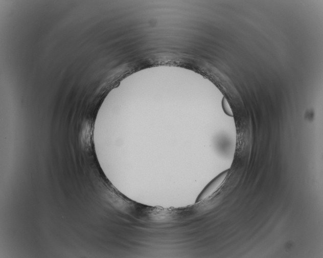 X0000097620142200803281045