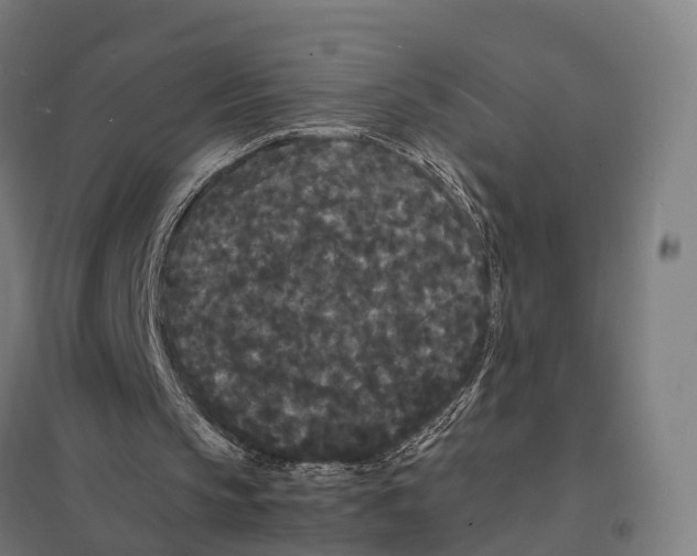 X0000097620145200803281044