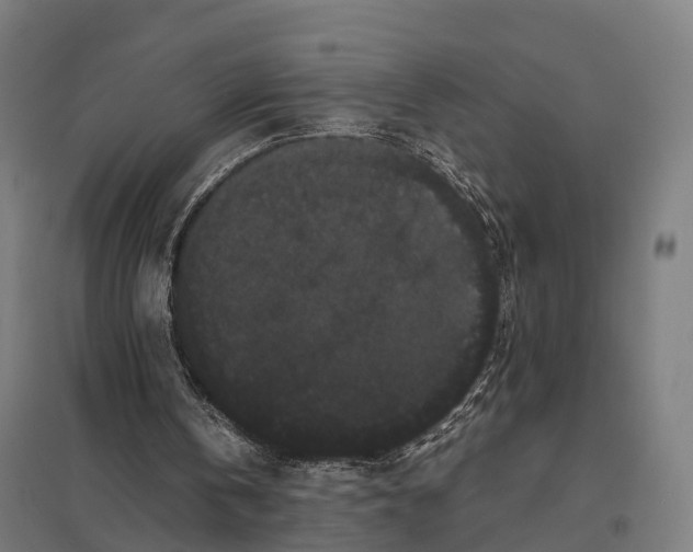 X0000097620146200803281044