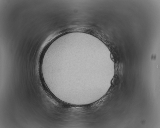 X0000097620150200803281044