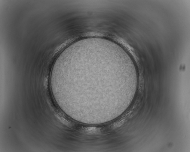 X0000097620153200803281044