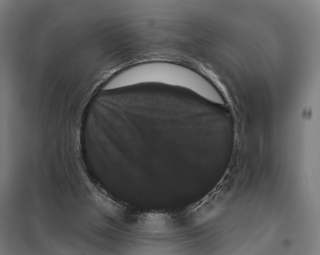 X0000097620154200803281044