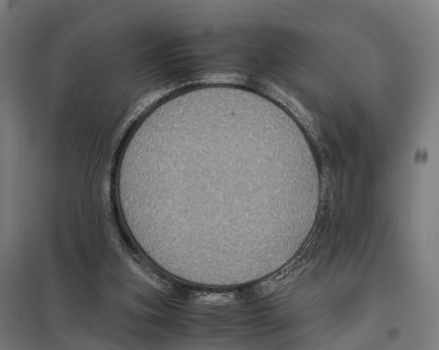 X0000097620155200803281044