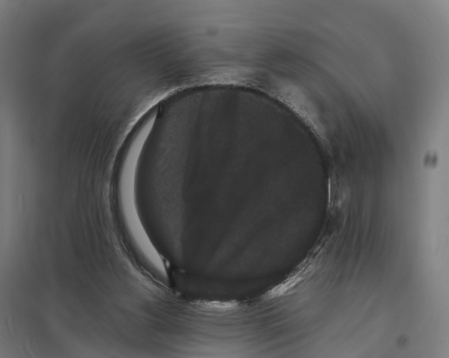 X0000097620156200803281044
