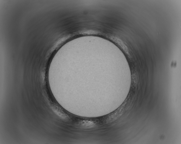 X0000097620159200803281044