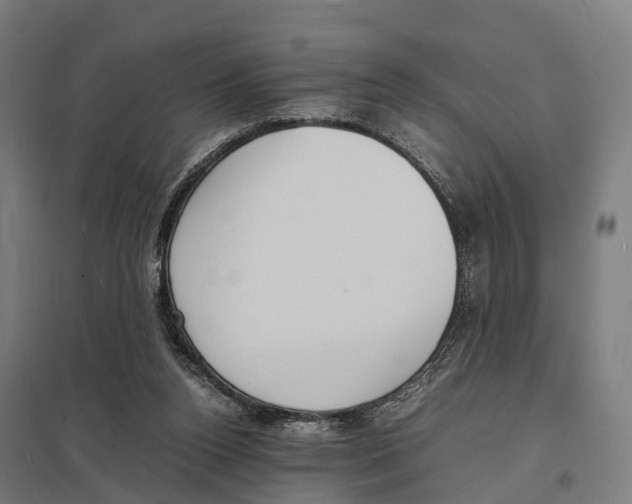 X0000097620160200803281044
