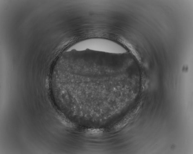 X0000097620161200803281044