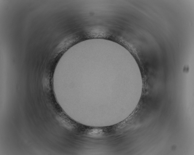 X0000097620162200803281044