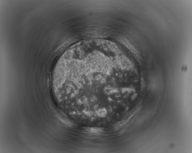 X0000097620165200803281044