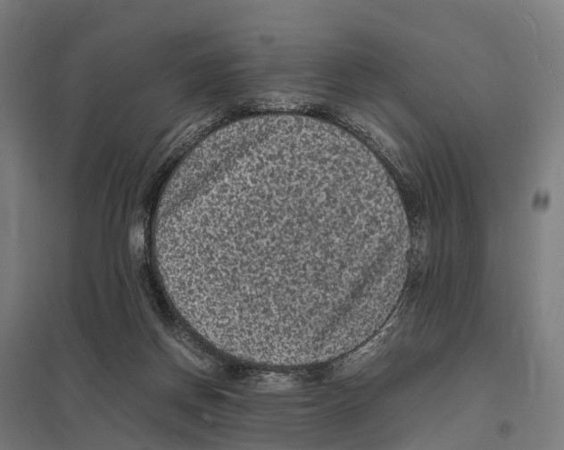 X0000097620166200803281044