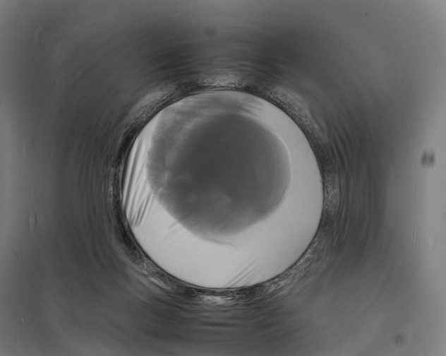 X0000097620167200803281044