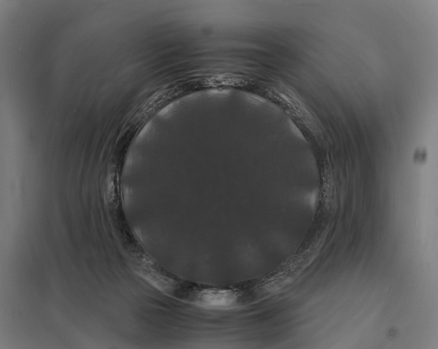 X0000097620169200803281044