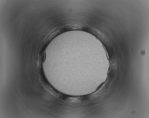 X0000097620170200803281044