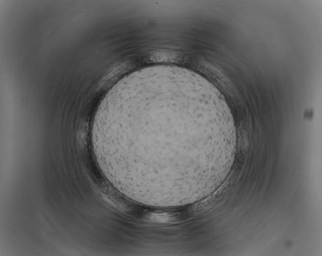 X0000097620171200803281044