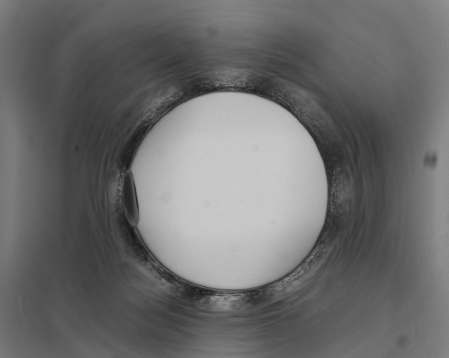 X0000097620172200803281044