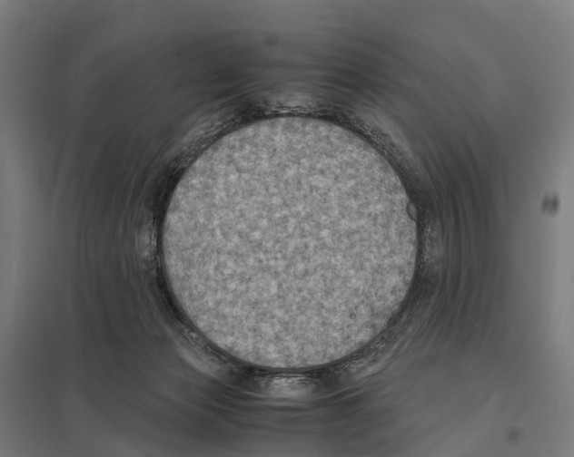 X0000097620173200803281044