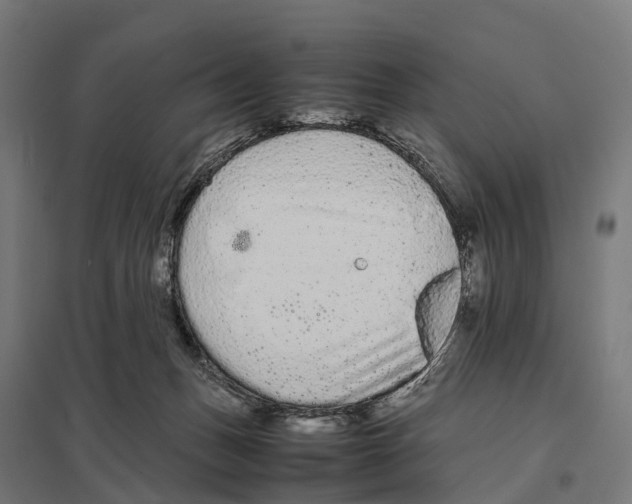X0000097620175200803281044