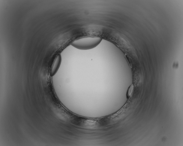 X0000097620176200803281044
