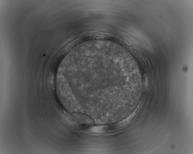 X0000097620178200803281044