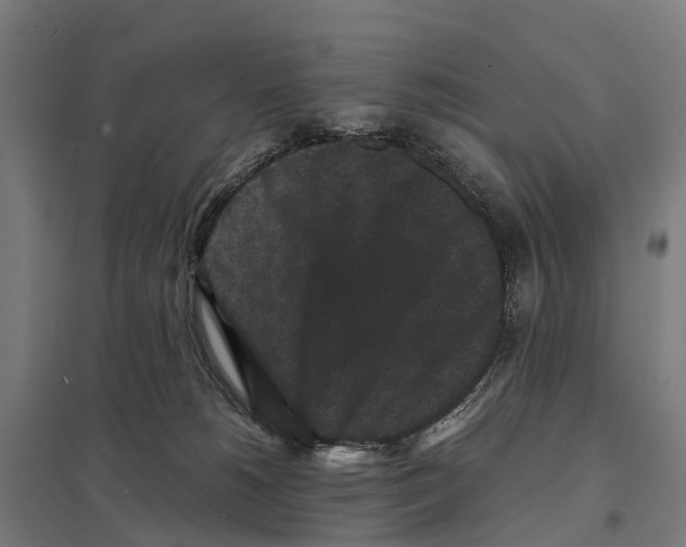 X0000097620180200803281044