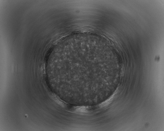 X0000097620182200803281045