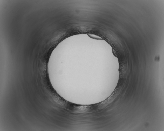 X0000097620184200803281045