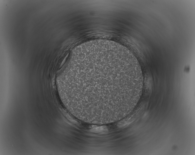 X0000097620185200803281045