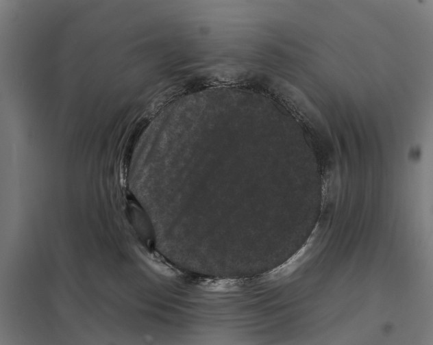 X0000097620186200803281045