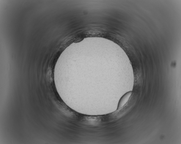 X0000097620187200803281045