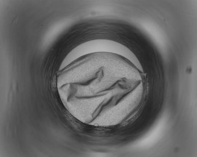 X0000097620190200803281045