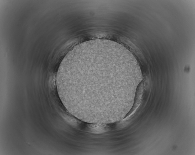X0000097620191200803281045