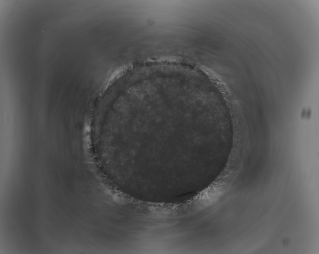 X0000097620192200803281045
