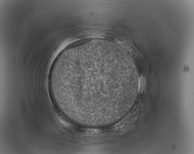 X0000097620195200803281044