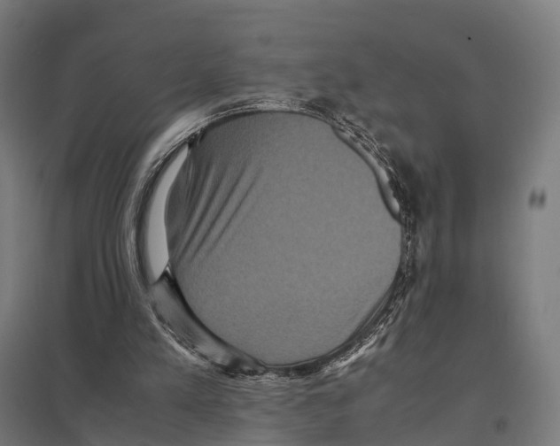 X0000097620197200803281044