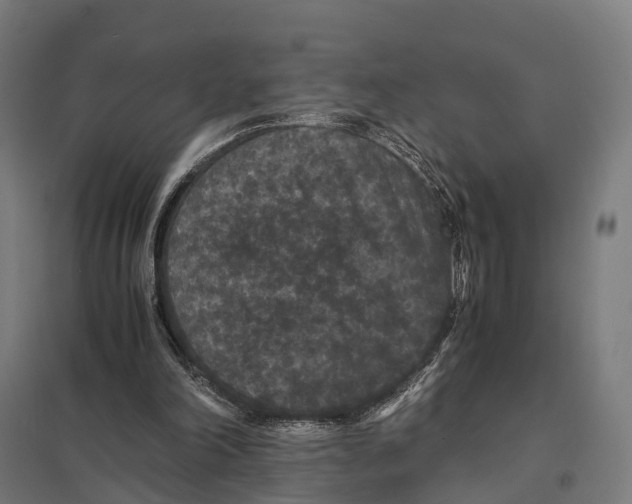 X0000097620198200803281044